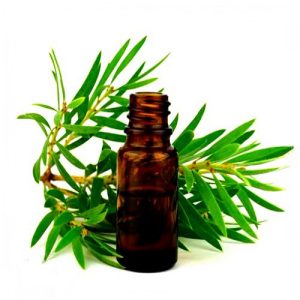 تونر لافارر مناسب پوست چرب با خواص آنتی‌باکتریال و ضدالتهابی